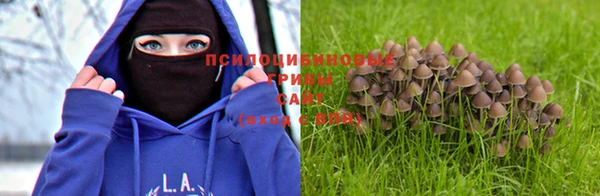 хмурый Кулебаки