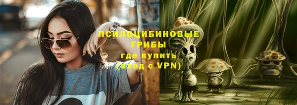 хмурый Кулебаки