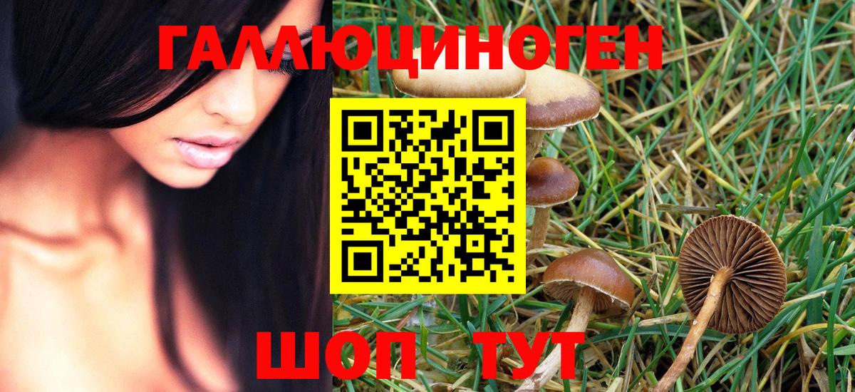 Псилоцибиновые грибы ЛСД Копейск