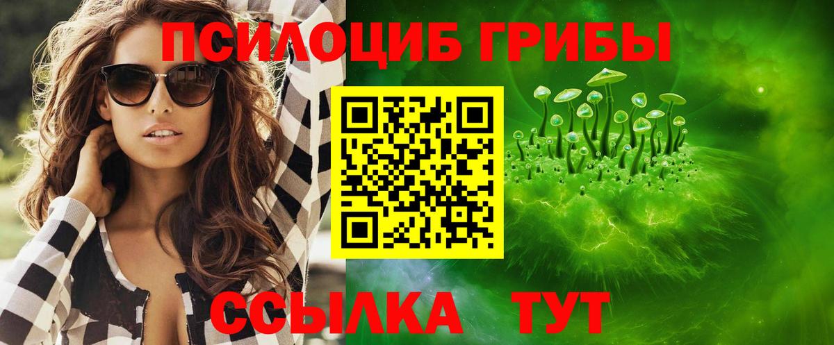 Псилоцибиновые грибы Psilocybe Копейск